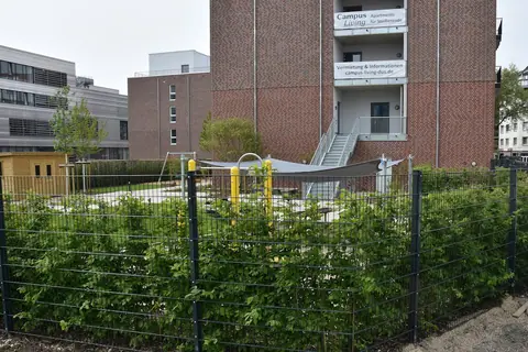 Neubau eines Studentenwohnheims und einer Kita in Düsseldorf – Bild 5