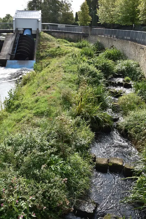 Wasserkraftnutzung - Fischpass in Rhede-Krechting – Bild 1